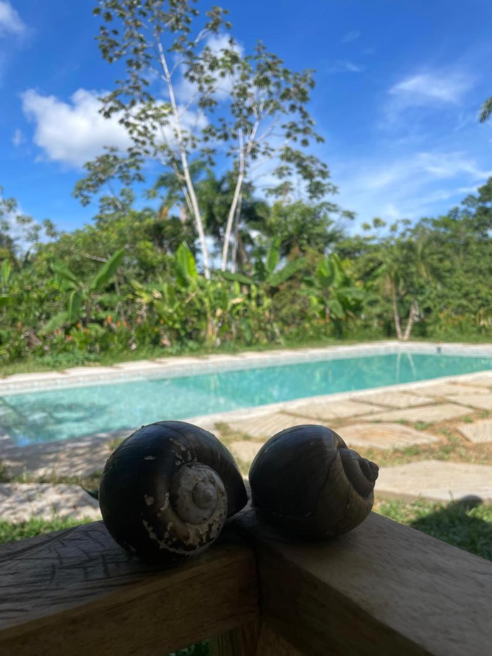 Purachata Ecolodge Iquitos Ngoại thất bức ảnh