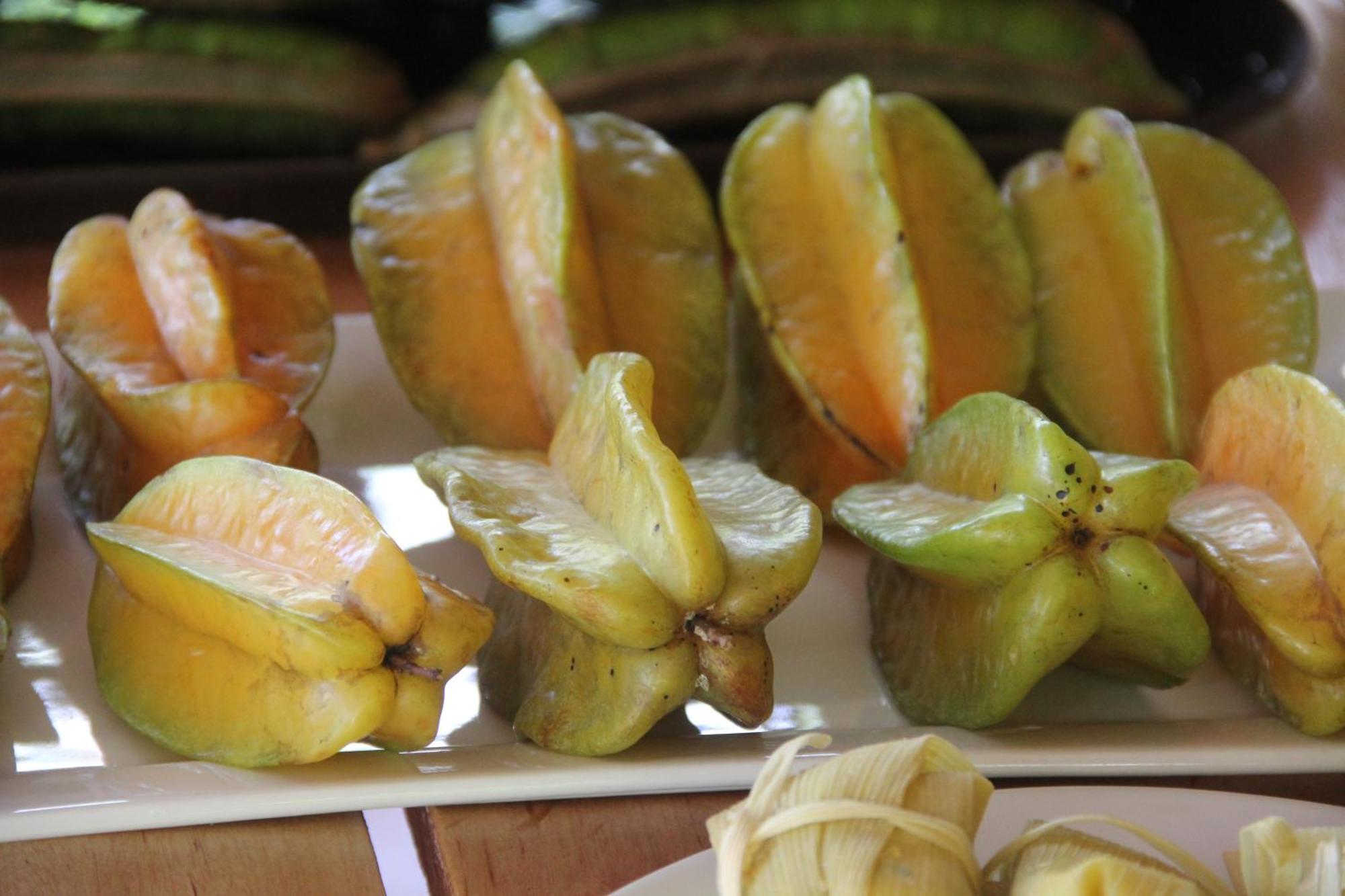 Purachata Ecolodge Iquitos Ngoại thất bức ảnh