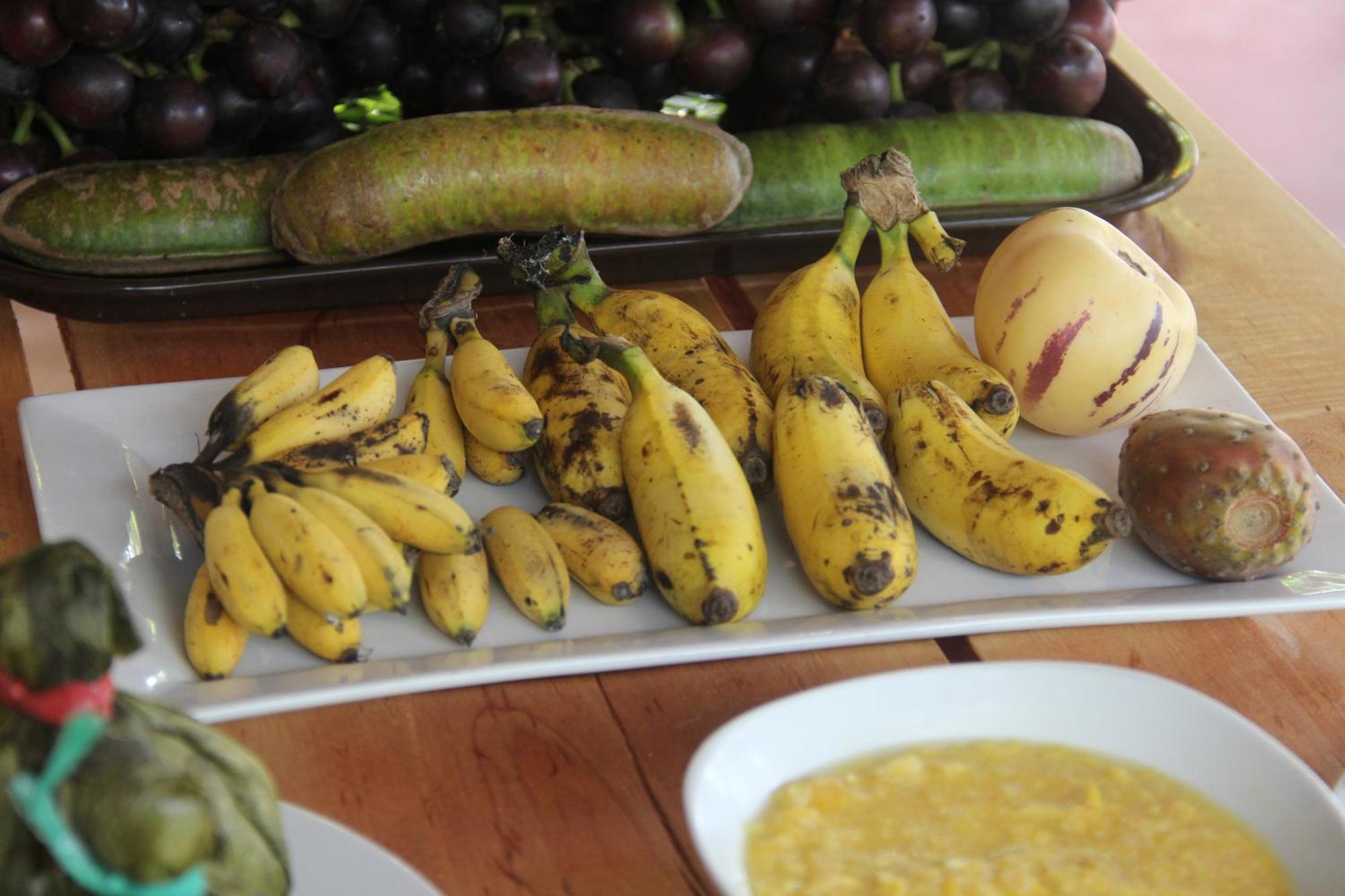 Purachata Ecolodge Iquitos Ngoại thất bức ảnh