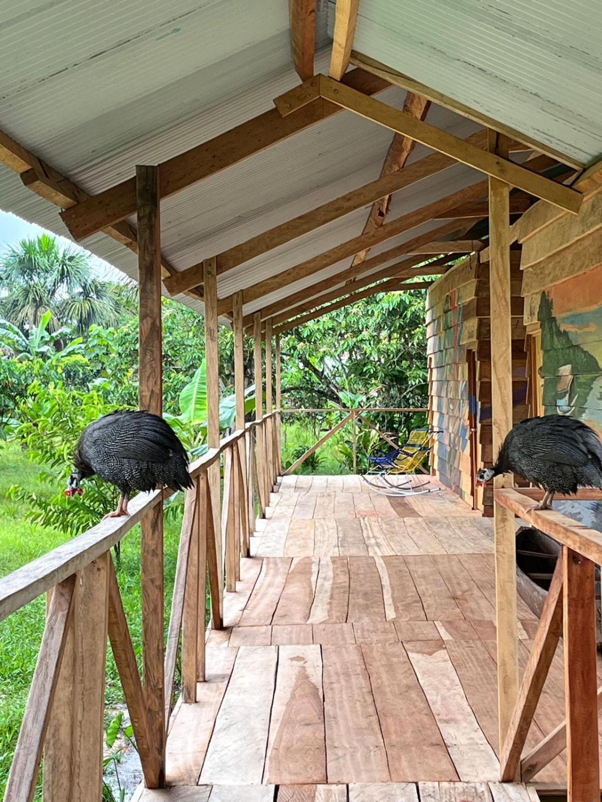 Purachata Ecolodge Iquitos Ngoại thất bức ảnh