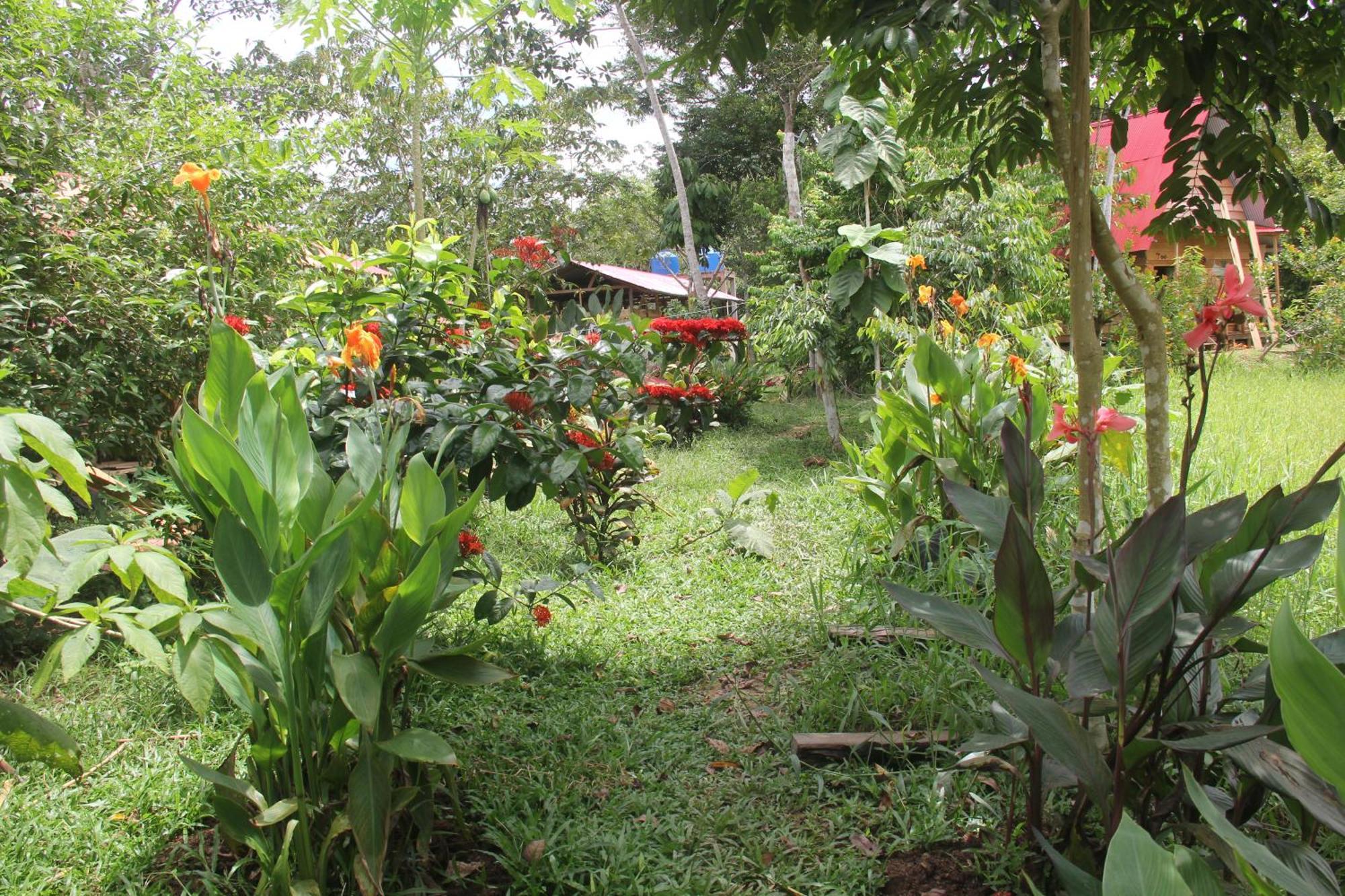 Purachata Ecolodge Iquitos Ngoại thất bức ảnh
